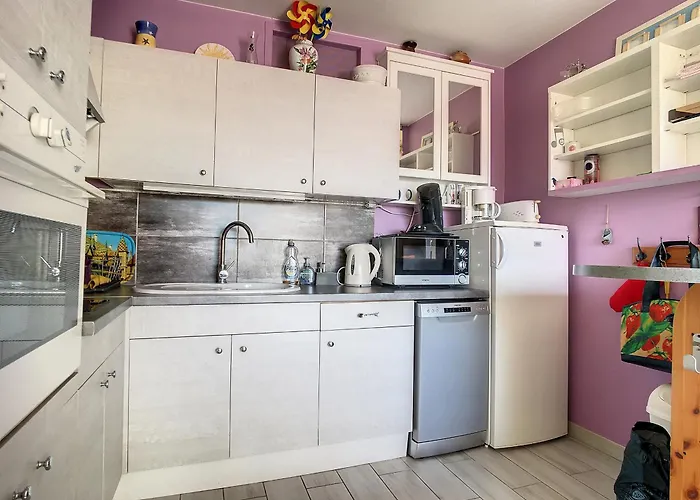 Bel F2 Avec Garage, Proche Et Port, Grande Terrasse Ensoleillée - Fr-1-715-80 Appartamento *